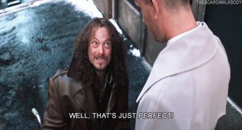 A Man Says Well That 'S Just Perfect While Talking To Another Man GIF