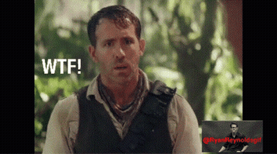 A Man Says Wtf Next To A Picture Of Him GIF