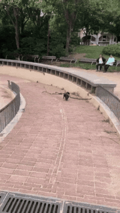 A Man Sits On A Bench In A Park While Another Man Sits On A Brick Walkway GIF
