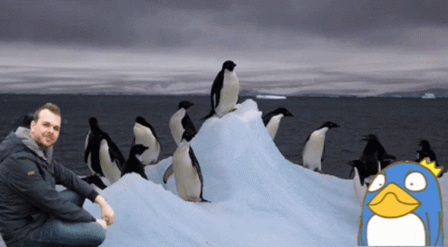 A Man Sits On A Pile Of Ice With Penguins Standing Around Him GIF