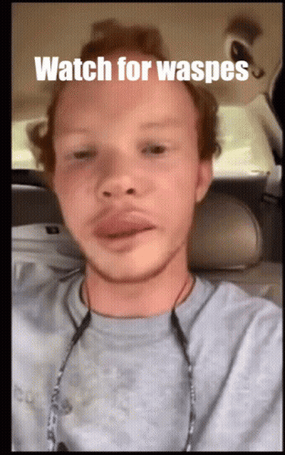 A Man Sitting In A Car With The Words Watch For Waspes Written On His Face GIF