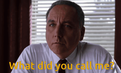 A Man Sitting In Front Of A Window With The Words What Did You Call Me GIF