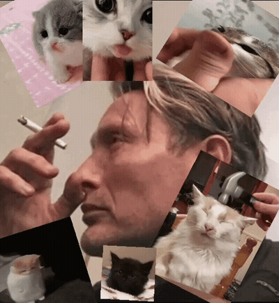 A Man Smoking A Cigarette And Holding A Cat GIF