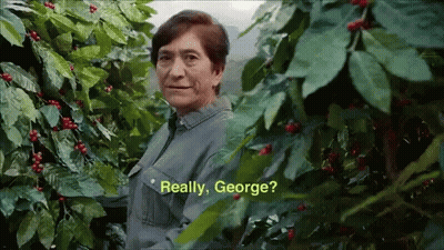 A Man Standing In A Bush With The Words " Really George " On The Screen GIF