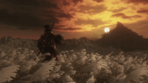 A Man Standing In A Field Of Tall Grass With A Mountain In The Background GIF