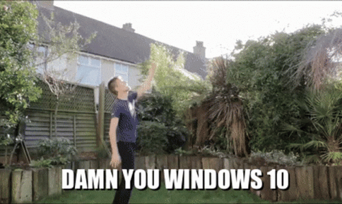 A Man Standing In A Garden With The Words Damn You Windows 10 Written Below Him GIF