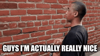 A Man Standing In Front Of A Brick Wall With The Words `` Guys I 'M Actually Really Nice '' . GIF