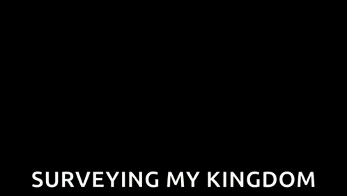 A Man Standing In Front Of A Castle With The Words Surveying My Kingdom Written Below Him GIF