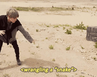 A Man Standing In The Sand With The Words Wrangling A Snake GIF