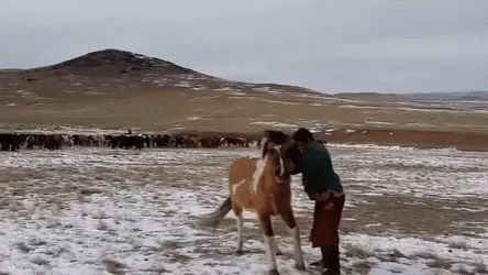 A Man Standing Next To A Horse In The Snow . GIF