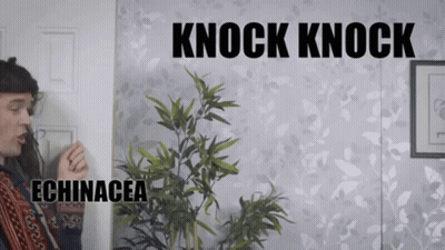 A Man Standing Next To A Plant With The Words " Knock Knock " Written On It GIF