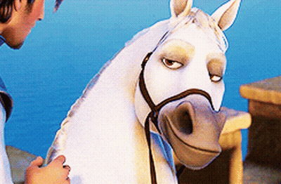 A Man Standing Next To A White Horse With A Bridle GIF