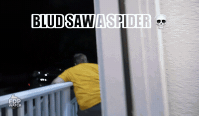 A Man Standing On A Balcony With The Words Bludsaw Spider Written On The Wall GIF
