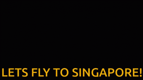 A Man Standing On A Beach With The Words Lets Fly To Singapore GIF