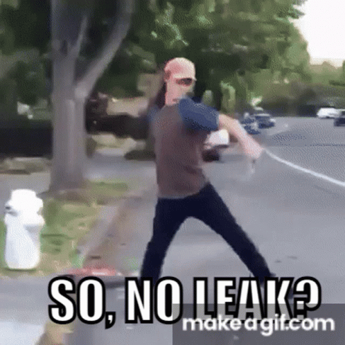 A Man Standing On The Side Of The Road With The Words So No Leak GIF