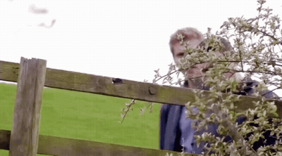 A Man Stands Behind A Wooden Fence In A Grassy Field GIF
