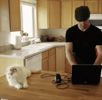 A Man Stands In A Kitchen With A Laptop And A Cat Laying On The Counter GIF