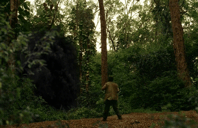 A Man Stands In The Middle Of A Forest Looking At A Large Rock GIF