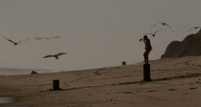 A Man Stands On A Pole On A Beach With Birds Flying Around Him GIF