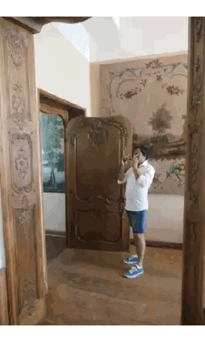 A Man Taking A Picture Of A Wooden Door With A Painting On The Wall Behind Him Sticker