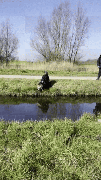 A Man Walking A Dog Along A Path Next To A River GIF