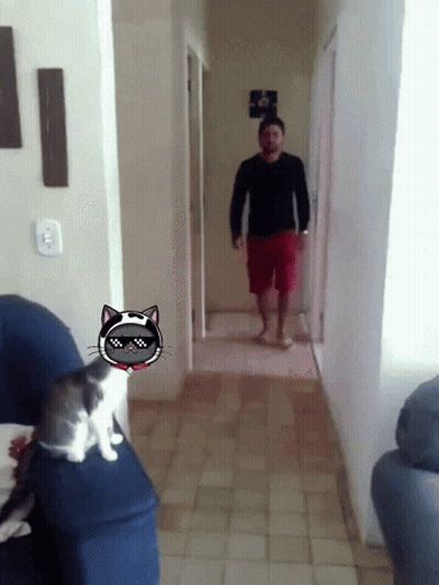 A Man Walking Down A Hallway Next To A Cat With Sunglasses On GIF