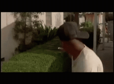 A Man Wearing A Baseball Cap Is Standing Next To A Bush . GIF