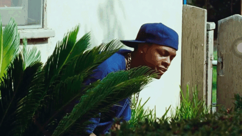 A Man Wearing A Blue Hat Is Peeking Through A Bush GIF