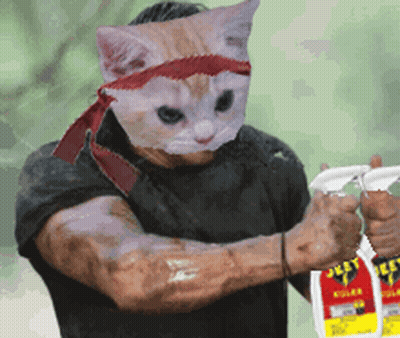 A Man Wearing A Cat Mask Is Holding A Bottle Of Jelly Bug Killer GIF