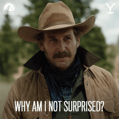 A Man Wearing A Cowboy Hat And A Jacket Says Why Am I Not Surprised GIF