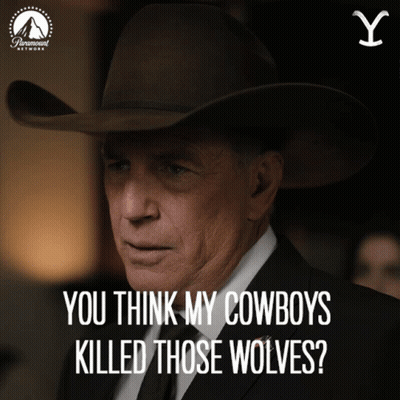 A Man Wearing A Cowboy Hat And A Suit Says You Think My Cowboys Killed Those Wolves GIF