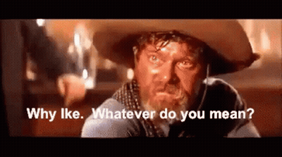 A Man Wearing A Cowboy Hat Is Asking Why Like Whatever Do You Mean . GIF