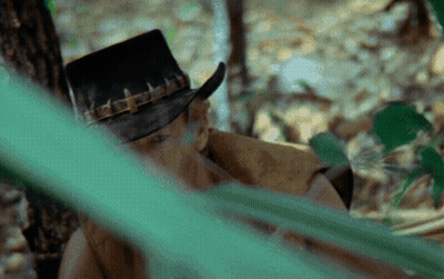 A Man Wearing A Cowboy Hat Is Looking Through A Green Leaf GIF