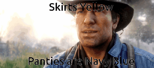 A Man Wearing A Cowboy Hat With The Words Skirts Yellow Panties Are Navy Blue Below Him GIF