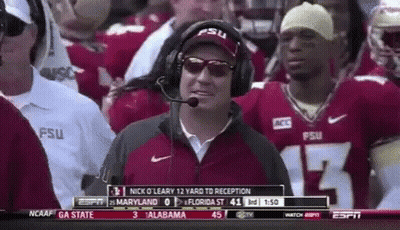 A Man Wearing A Fsu Hat And Sunglasses Stands In A Crowd Of People Watching A Football Game GIF