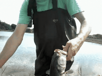 A Man Wearing A Green Shirt And Black Overalls Holds A Fish GIF