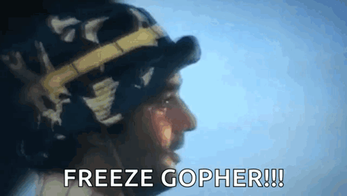 A Man Wearing A Hat And Goggles Is Saying `` Freeze Gopher !!! '' GIF