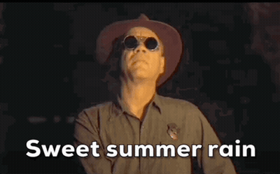 A Man Wearing A Hat And Sunglasses Says Sweet Summer Rain . GIF