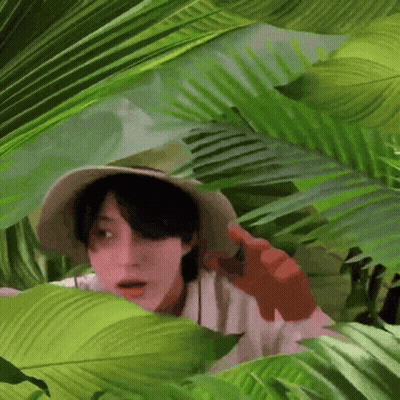 A Man Wearing A Hat Is Peeking Out From Behind A Palm Tree . GIF