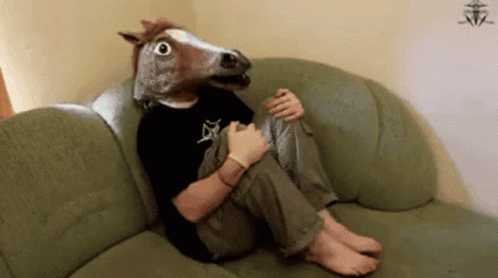 A Man Wearing A Horse Head Mask Sits On A Couch GIF