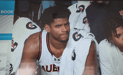 A Man Wearing A Jersey That Says Auburn Sits In The Stands GIF