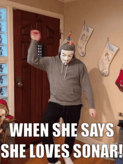 A Man Wearing A Mask Is Dancing In Front Of Christmas Stockings And Says When She Says She Loves Sonar GIF