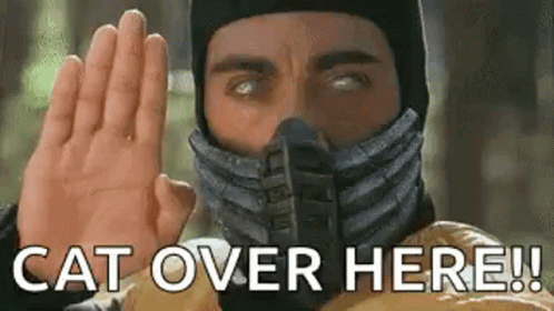 A Man Wearing A Mask Is Giving A High Five And Says `` Cat Over Here '' . GIF