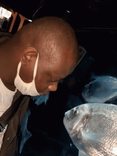 A Man Wearing A Mask Looks At A Fish In A Tank GIF