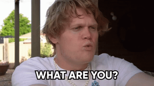 A Man Wearing A Pearl Necklace Is Asking What Are You GIF