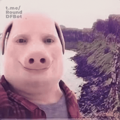 A Man Wearing A Pig Mask Is Taking A Selfie . GIF