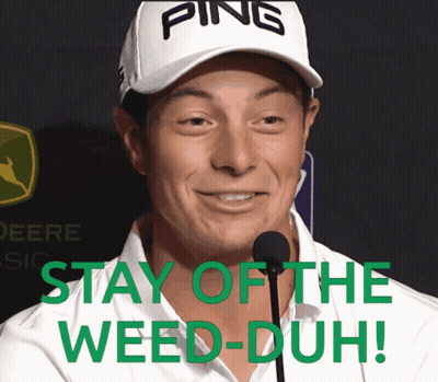 A Man Wearing A Ping Hat Says Stay Of The Weed Duh GIF