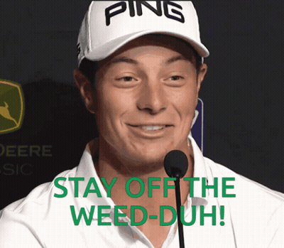 A Man Wearing A Ping Hat Says " Stay Off The Weed-Duh " GIF