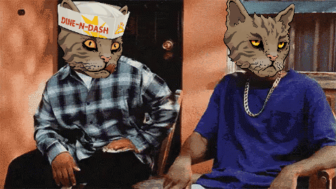A Man Wearing A Plaid Shirt Sits Next To A Cat With A Dine-N-Dash Hat On GIF