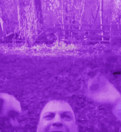 A Man Wearing A Purple And Yellow Vest With A Tie GIF